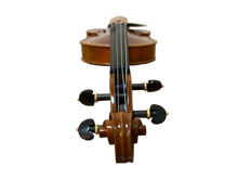 Load image into Gallery viewer, Viola - LVA700 (Handmade)
