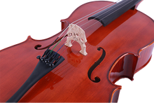 Load image into Gallery viewer, Cello - LVC300 (Half Handmade)