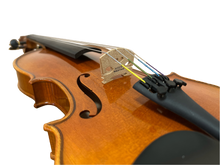 Load image into Gallery viewer, Violin - LVN700 (Handmade)