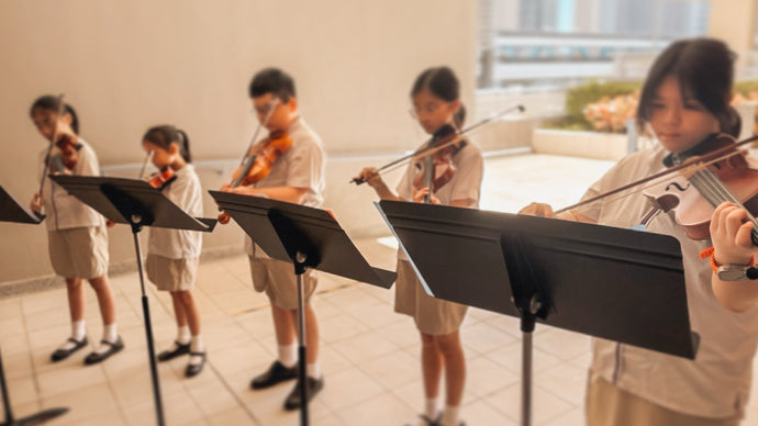 Performance at school (6)