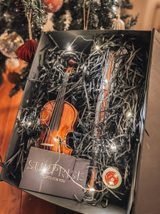 Violin gift set