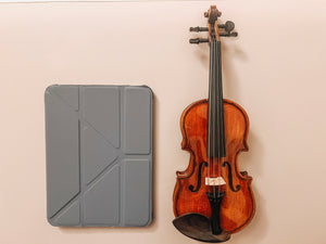 Violin gift set