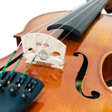 Load image into Gallery viewer, Violin - CVN003 (Handmade)
