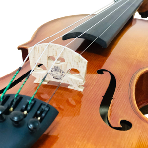 Violin - CVN003 (Handmade)