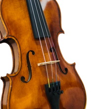 Load image into Gallery viewer, Violin - CVN002 (Handmade)
