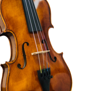 Violin - CVN002 (Handmade)