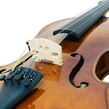 Load image into Gallery viewer, Violin - CVN002 (Handmade)
