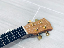 Load image into Gallery viewer, Solid Spruce Top Ukulele - CUKDAS
